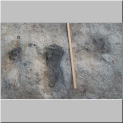 102_6421 (2013-08-09)m.JPG